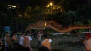 preview picture of video '2013 薄扶林村菜園地舞火龍 , 2013 Pokfulam Village Fire Dragon at Vegetable Garden Place'