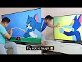 Tom Jerry Funny Videos Compilation