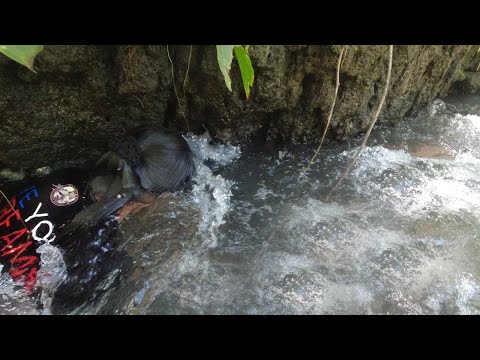 SE02EP33 - SISID MARINO : RUMARAGASANG AGOS - Catch & Cook | San Pablo City, Laguna