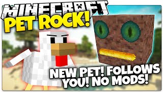 Minecraft | MY NEW BOULDER SIDEKICK! | Pet Rock in Minecraft (Minecraft Vanilla Mod)