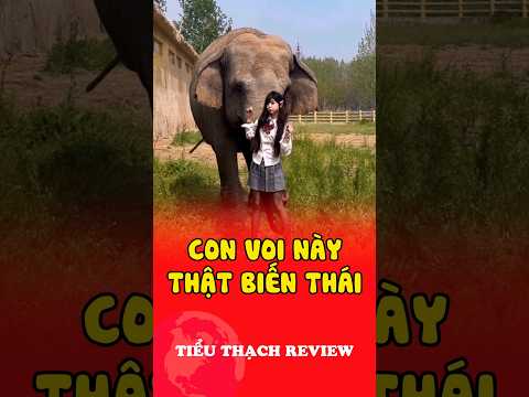 Con voi này thật biến thái #shorts