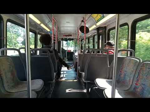 RideOn Route 1/11 on a gillig hybrid 5320