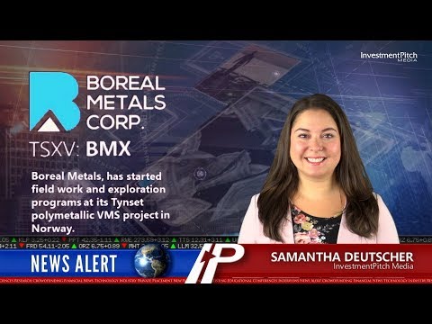 Boreal Metals has started field work/exploration programs at its Tynset project in Norway