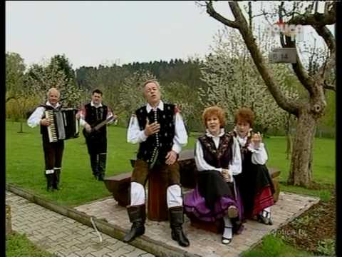 ALFIJEVI MUZIKANTI IN AVSENIKOV TERCET - Vse moje misli so pri tebi