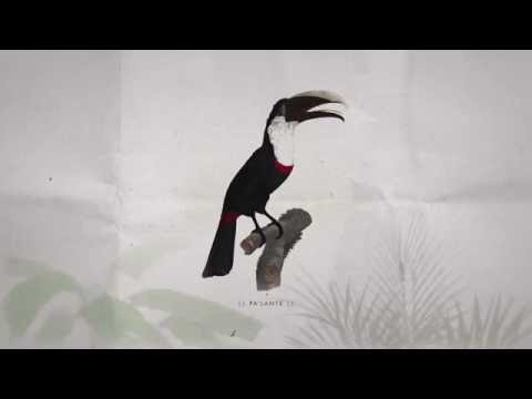 Salomón Beda – Pa’lante