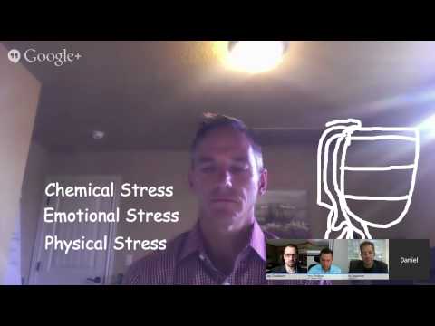 Adrenal Fatigue and the Endocrine System - CHTV Episode 26