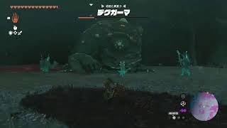 【スイッチ２で遊ぶ】色々ゲーム【のんびりTEST】カクツキはこちらの環境です(テスト配信)
