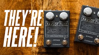 Video thumbnail for BOUTIQUE FUZZ and CHEAP?? MMK Electrics Pavlof Fuzzes! by Sasha Ivantic