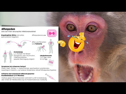 Affenpocken | die nächste Pandemie nach dem C?