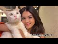 Pranali Rathod Offscreen Cat Viralvideo Pranalirathod Harshadchopda Harshali Abhira Durga Love