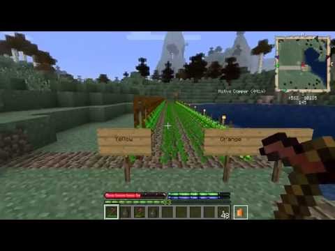 Terrafirmacraft Tutorial: Farming and Fruit Trees