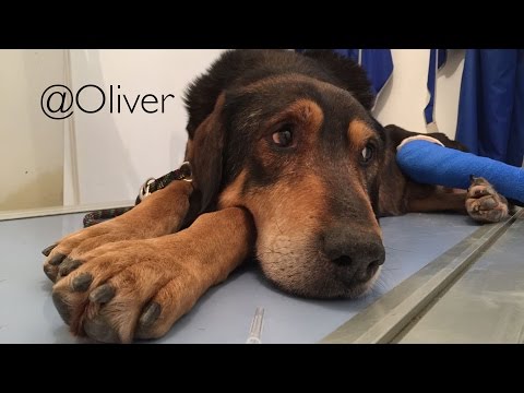 Placcatura sulla colonna cervicale Durante la gravidanza, grave dolore alla schiena