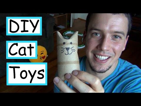 5 DIY Cat Toys  | EASY + CHEAP