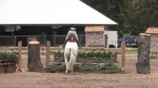 Video of DEACON BLUE ridden by ABBYGALE FUNK from ShowNet!