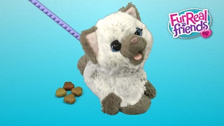 FurReal Friends Kami, My Poopin&#39; Kitty from Hasbro