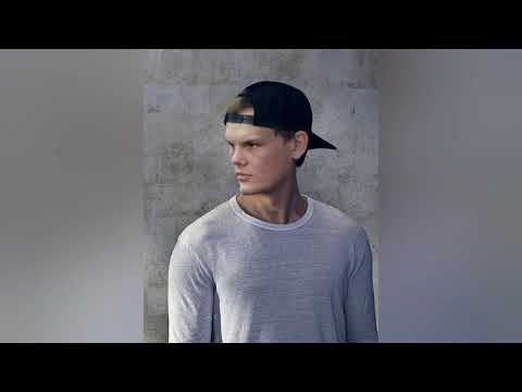 Naughty Boy & Mike Posner - Live Before I Die (Avicii Remix) (Instrumental Remake)