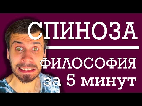 ФИЛОСОФИЯ ЗА 5 МИНУТ | Бенедикт Спиноза