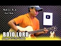 BOJO LORO ACOUSTIC INSTRUMENT VIRAL TIKTOK