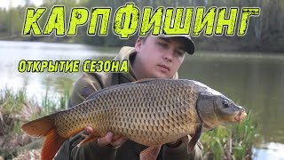 Как кормить карпа для ловли и ловить