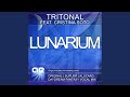 Lunarium (Supuer Remix) 