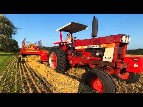 Baling Wheat Straw With New Holland 316 Baler