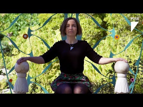 Fuse Records: Analodjica