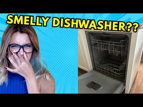 The Hidden Filter in Your Dishwasher You NEED to Clean