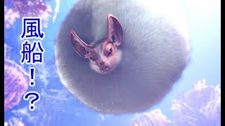 まるで風船！？癒しキャラ登場！【MHW#7】