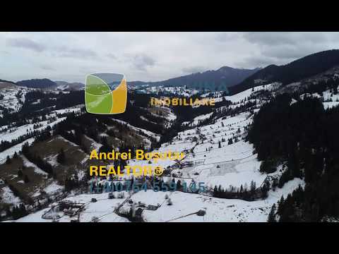 Teren la 10 min de TransRarău, Pojorâta - Bucovina!