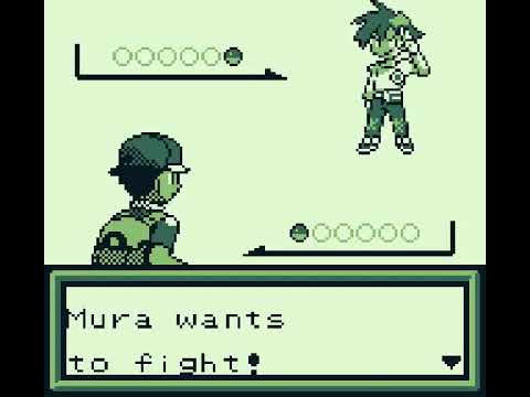 Pokemon Brown 2014 Playthrough Part 1