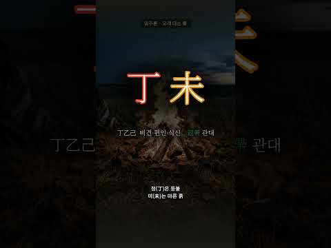 마른 들판의 모닥불 | 정미(丁未) 일주