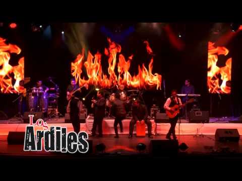 EL GUARANGUITO - LOS ARDILES