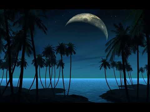 Support Lesbians - Fameless (Román pro ženy)