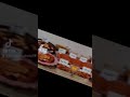 Food Bangladeshi Bangla Song Usa Cute Fun New Clips Baby Viral Funny