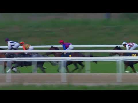 2018.06.18 Stockholms Stora Pris (SWE) - Hurricane Red