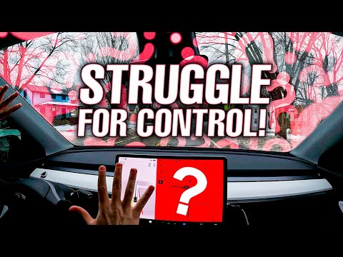 THERE IS NO STRUGGLE FOR CONTROL WITH FSD BETA