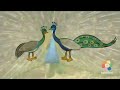 Babyfirst Safari Scrapbook Peacock
