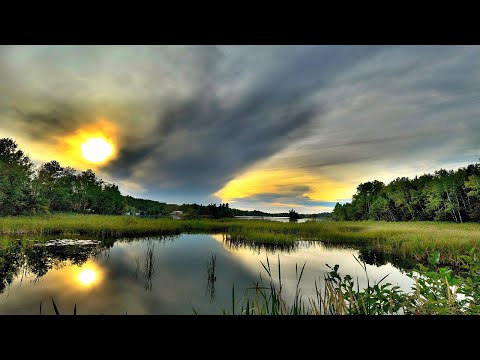 LOONS And Thunderstorm - Haunting Loon Calls With Thunderstorm Sounds