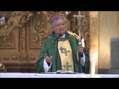 Homilía del 08 de febrero de 2015