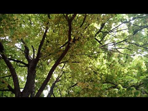 Tóth Eszter: Három tér-érzés. A verset elmondja: Fabulya Andrea.