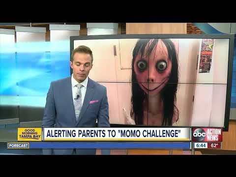 Parents warn about potentially deadly 'Momo Challenge' across social media