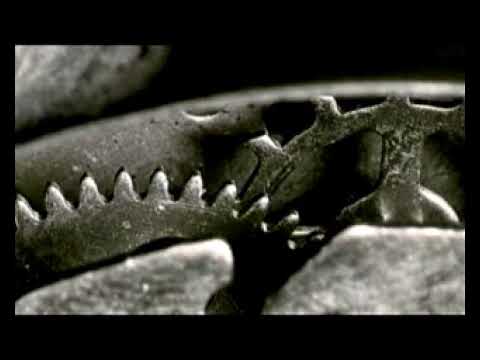 История одной болезни | Трейлер | Премия Лавр-2008