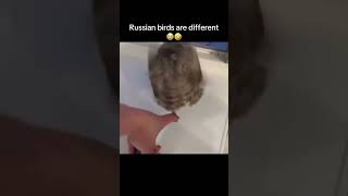 Download lagu Birdio said some I’m not ovo I’m with prvnci and got out of there mp3