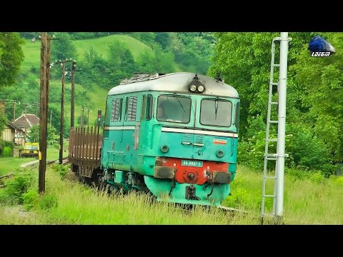 Fluieroasa/Whistle Loco 60-0897-3 cu/with Marfar CFR MARFA Train in Bratca [Spring Edition]