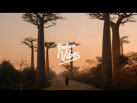 David Jay, Flavaone & Tiggz - Bouncy