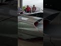 Tuatara!!!