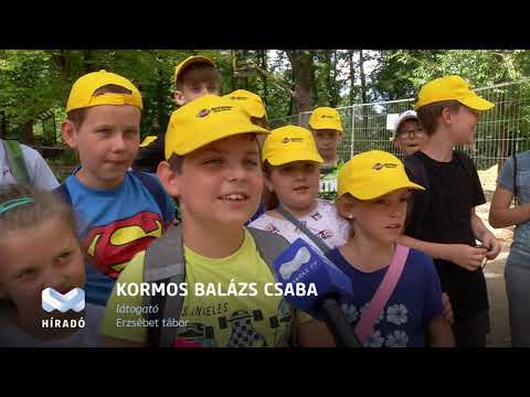 Videó előnézet