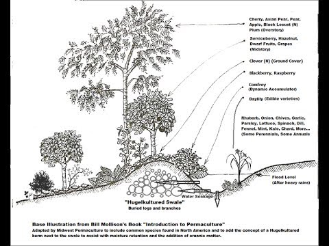 Polycultures and Guilds: Zone 8 Food Forest Examples.