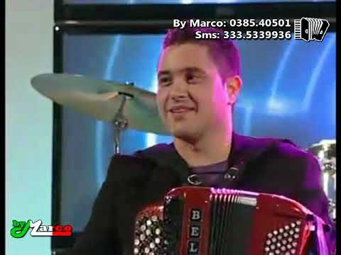 Davide Salvi - La zanzara