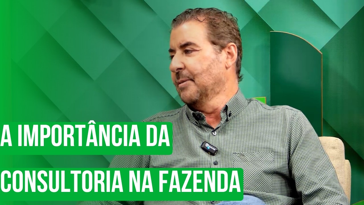 A importância da consultoria na tomada de decisão dentro da fazenda